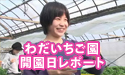 わだいちご園 開園リポート
									わだいちご園さんの開園日の様子を
カメラリポートしてみました☆

お客様の声もいただいています☆

う～ん、美味しいそうないちごがずら～り☆
とても、美味しそう☆

協力：
<a href="http://www.asu-ch.net/redirect.php?id=0&target=http://wada-ichigoen.com/" target="_blank">わだいちご園</a>
<a href="http://www.asu-ch.net/redirect.php?id=0&target=http://elfeelpromotion.com/maziora/index.html" target="_blank">WitchDrop</a>
<a href="http://www.asu-ch.net/redirect.php?id=0&target=http://elfeelpromotion.com/" target="_blank">エルフィールプロモーション</a>
<a href="http://www.asu-ch.net/redirect.php?id=0&target=http://nissan-satio-shonan.info/new_info.php" target="_blank">株式会社　日産サティオ湘南</a>



