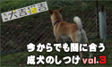 今からでも間に合う成犬のしつけ　おなやみ３「飛びつき」