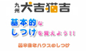 「ハウスを覚えよう！！」キチレンジャーSpecial
									キチレンジャーSpecial
「ハウスを覚えよう！！」

ワンちゃんにとって初めて入るハウスは未知の世界。ハウスに入ることに抵抗があると思います。
大好きなおやつでトレーニングすることから、「ハウス」というコマンドだけでハウスに入れるようにレッスンしていきます。
ワンちゃんが

「ハウス＝休む場所」

と認識するようにレッスンしていきます。

Teacher:
ドックトレーニングLOVE・DOG
小山繭子　先生

Model Dog(今月の取材協力):
レイ（ラブラドール レトリバー）/♀/4才

撮影編集:
キュウビアン

連動雑誌:
犬吉猫吉 九州版 2007年9月号




