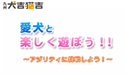 「愛犬と楽しく遊ぼう!! ～アジリティに挑戦しよう！」キチレンジャーSpecial
									キチレンジャーSpecial
「愛犬と楽しく遊ぼう!! ～アジリティに挑戦しよう！」

「アジリティ」ってどんなことをするの？

ドッグスポーツとして人気のある「アジリティ」。スタートからゴールまでの１０から２０ある障害物を、時間内に正確にクリアすることを競う競技です。
一番重要になるのは、飼い主さんとワンちゃんとの「信頼関係」。飼い主さんとワンちゃんが一緒に障害をクリアすることで、お互いの信頼関係を築くことができます。
この動画では、その訓練模様をご覧になれます。
ワンちゃんと一緒に見終わったら、二人でLet's Try!
二人の信頼関係をさらに深めましょう！

Teacher:
Dog training club JUMP DOG
　　中尾　直譜　先生

Model Dog(今月の取材協力):
ジュリアン（♂　パピヨン）
ふく（♂　柴犬）

撮影編集:
キュウビアン

連動雑誌:
犬吉猫吉 九州版 2008年4月号



